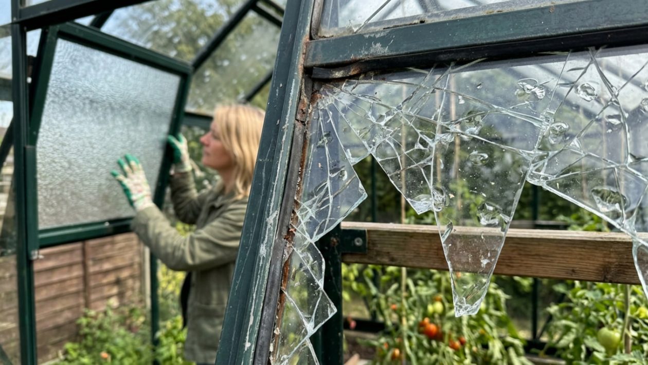 Eine kaputte Scheibe aus billigem Blankglas an einem Gewächshaus, daneben intaktes, strukturiertes Sicherheitsglas.