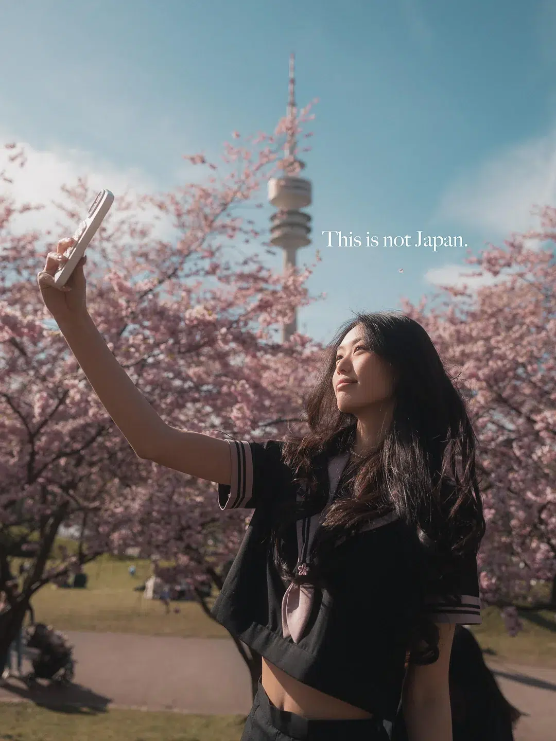 Kirschblüten in München: Wo Sie Japans rosarotes Geheimnis im April völlig gratis finden