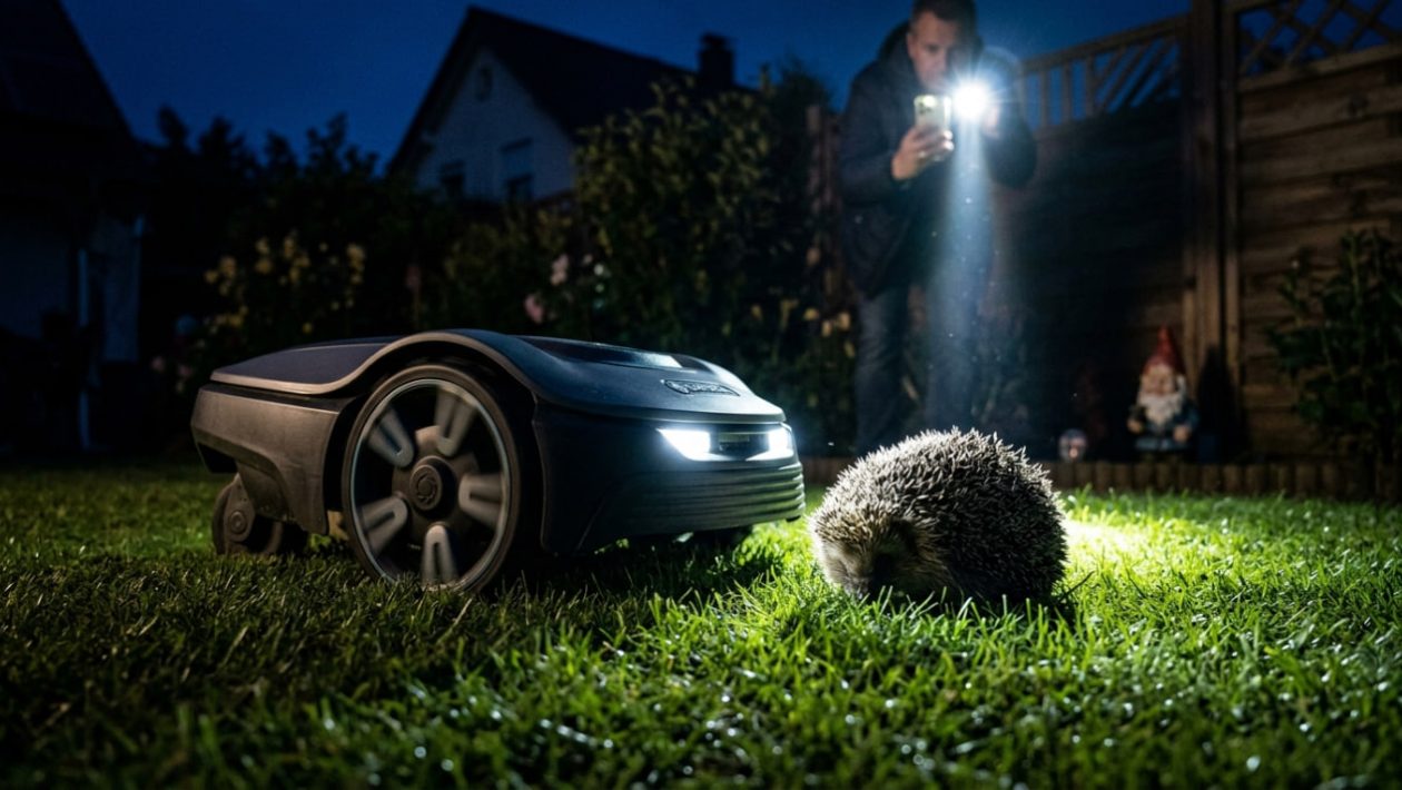 Ein Mähroboter nähert sich nachts einem zusammengerollten Igel im Gras.